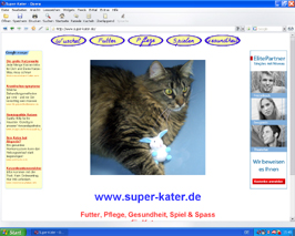 Screenshot Super-Kater